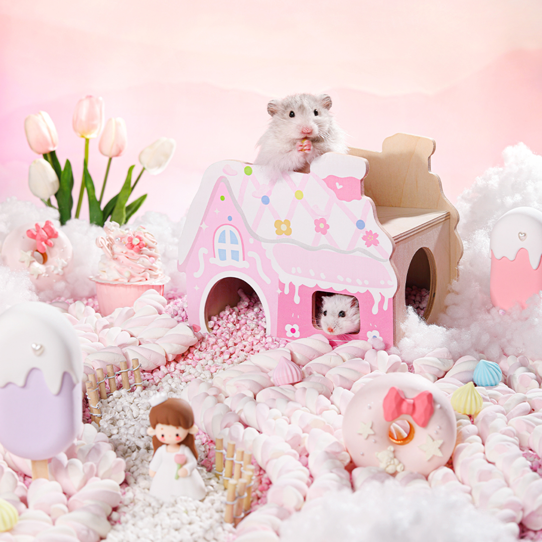 Candy House