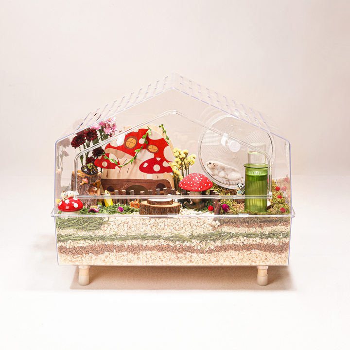 Durable and easy-to-clean transparent cage, ensuring a hygienic and comfortable environment for your small animals