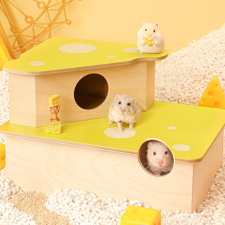 Hamster peeking out from The Cheddar Condo in a playful cheese-shaped hideout