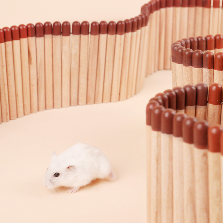 Natural Birchwood Fence Creating a Play Area for Hamsters