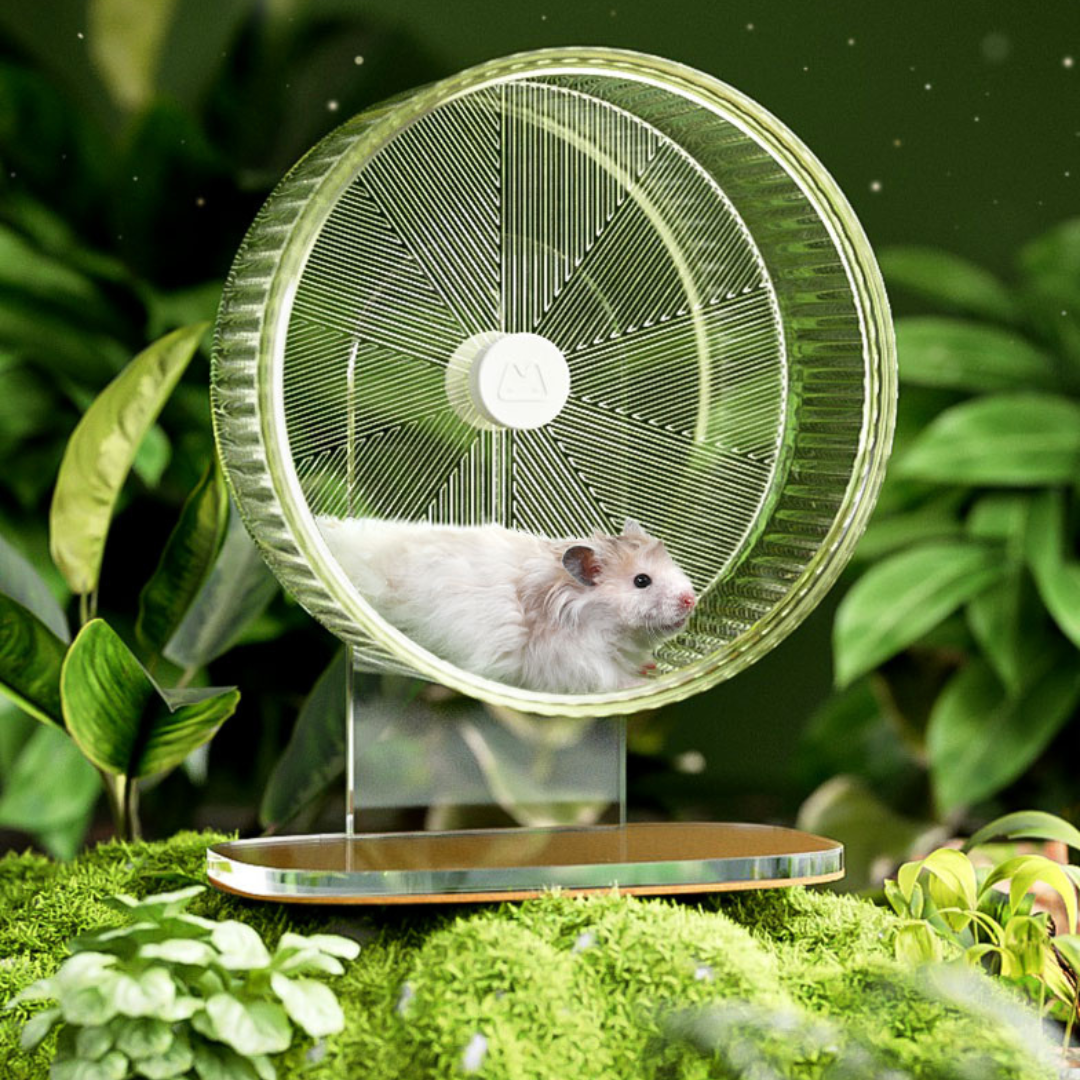 Quiet and durable hamster exercise wheel with a sleek, clear design