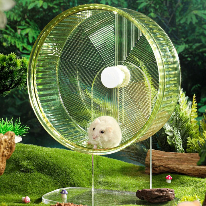 Hamster running on the Mini&Moe Crystal Running Wheel in a modern habitat