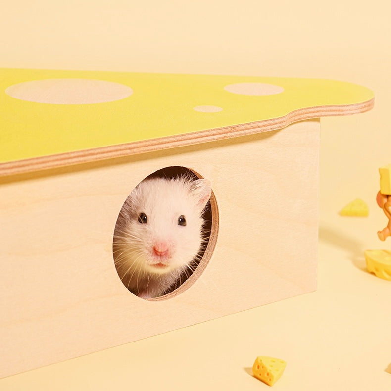 Multi-level Cheddar Condo for hamsters, perfect for nesting and exploration