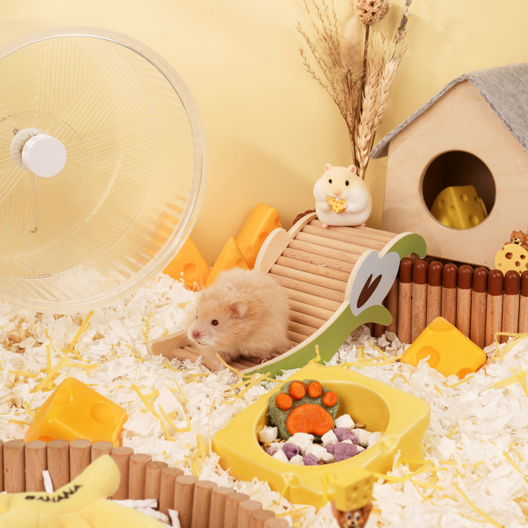 Top view of the Cheese Bowl showing its perfect size for hamsters and gerbils.